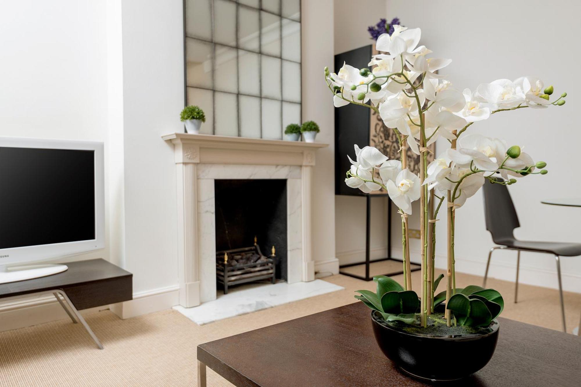 Spacious, Calm One Bedroom Londra Esterno foto